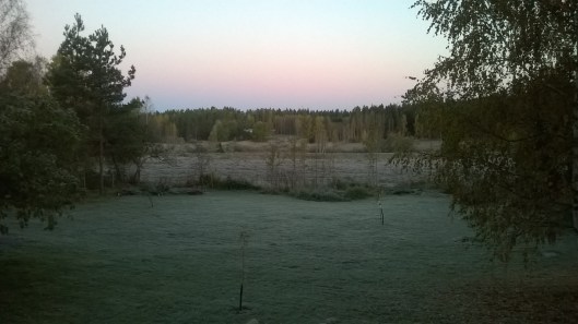 28834915366_c3e8f40418_o