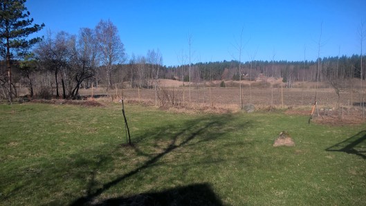 WP_20160421_10_12_52_Pro