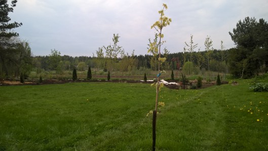 WP_20160515_13_34_55_Pro