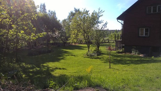 WP_20160523_18_11_43_Pro