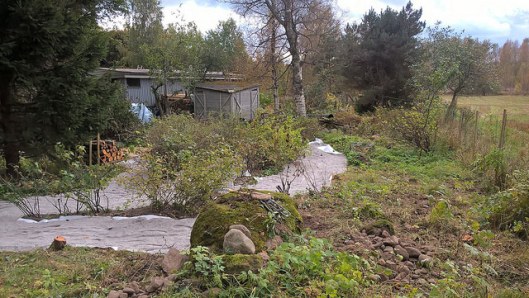 29668345890_c5b64743f2_z