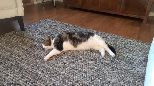 new-rug-viiru_32723763184_o