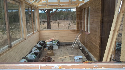 33754381542_d441051688_o