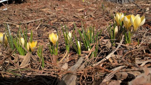 34111917676_98f3033b34_z