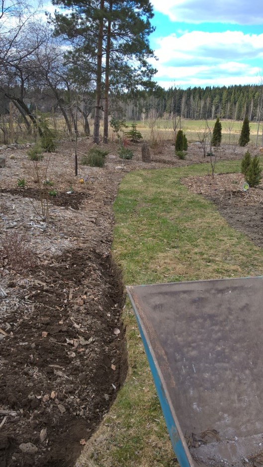 brick-edging-big-bed-border_34471964636_o