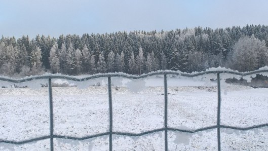 may-snows_34554242426_o