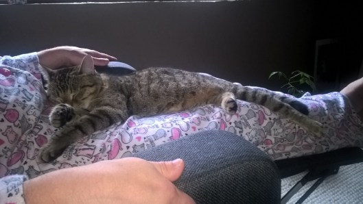 37035666383_fa400d0180_o