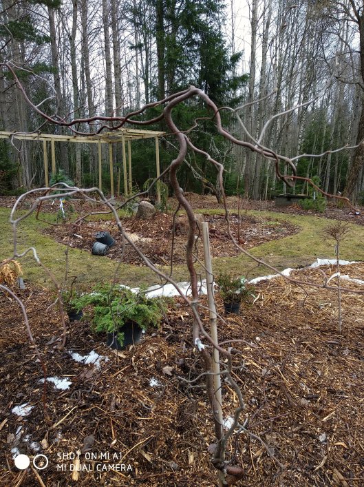 39858882750_e31da78502_o