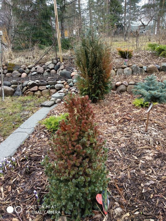 40955365924_bf748db250_o