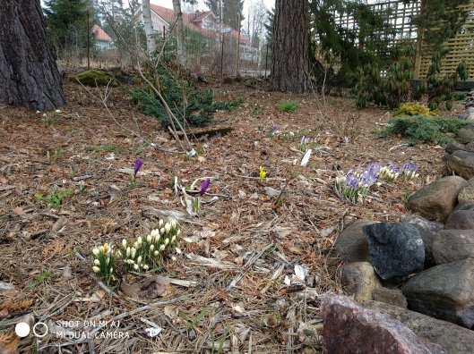 41665112901_4b383c3d6e_o