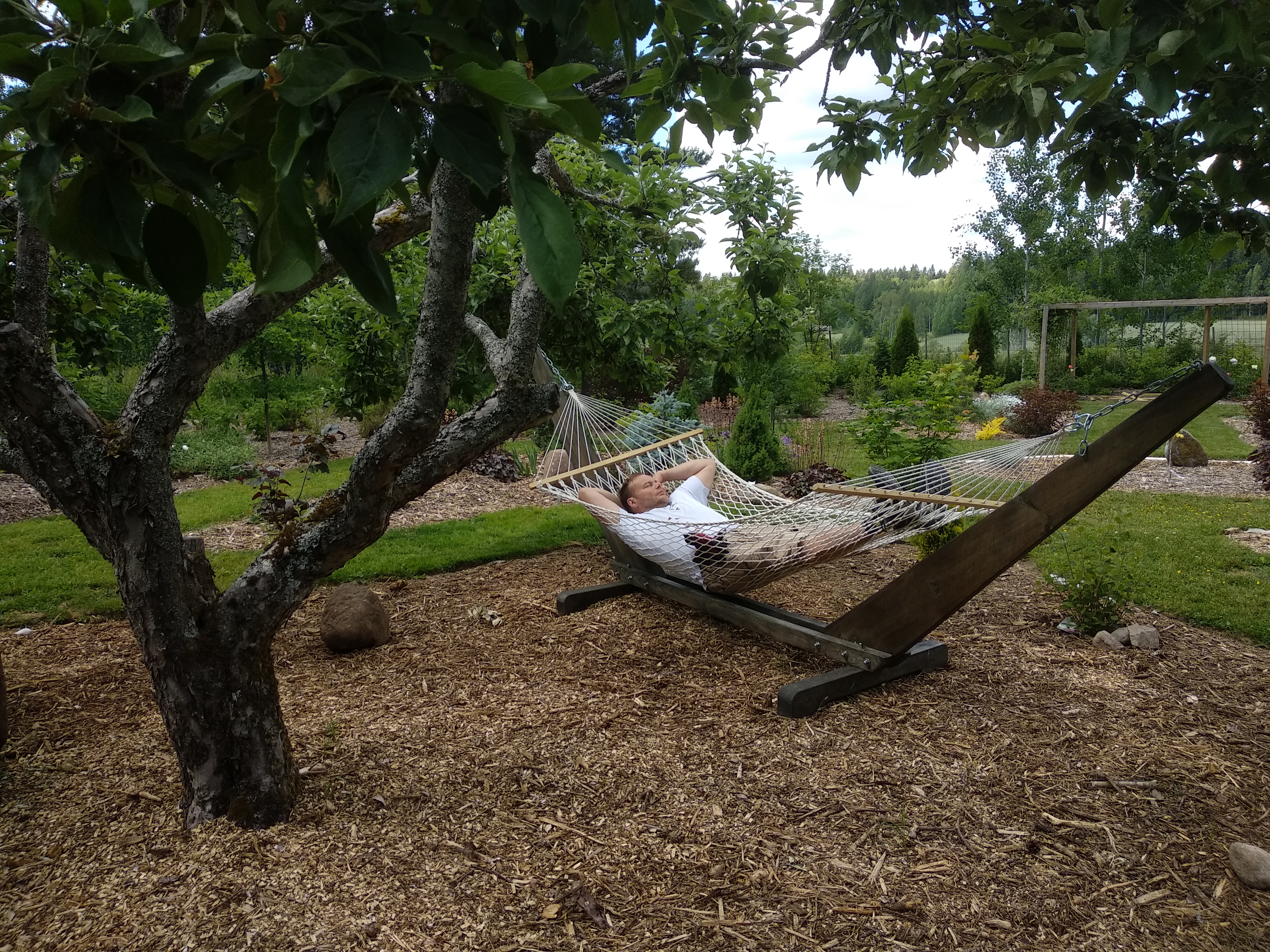 28998865478_c21923ef2e_o