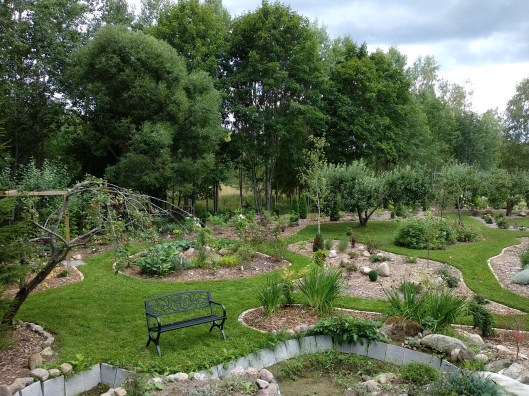 43141130674_e25de42fa4_o