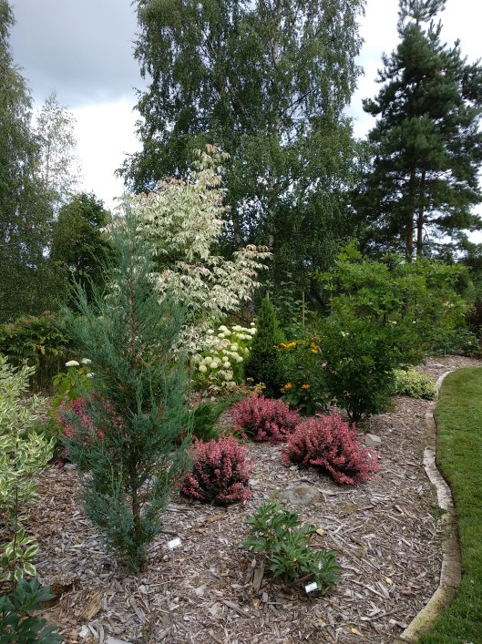 43141207484_c82e30e42c_o