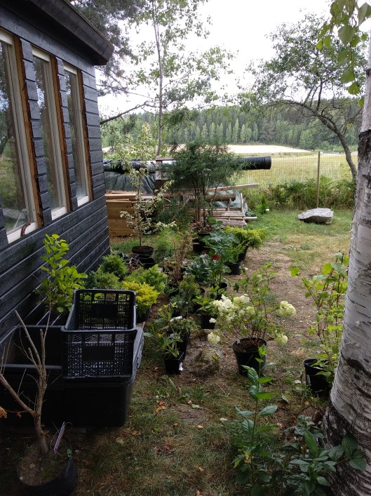 43858569471_7e586a04ea_o