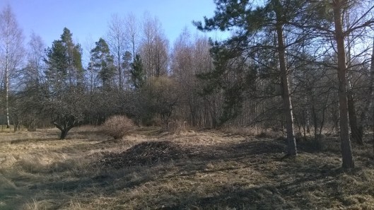 28505193860_d749715482_o