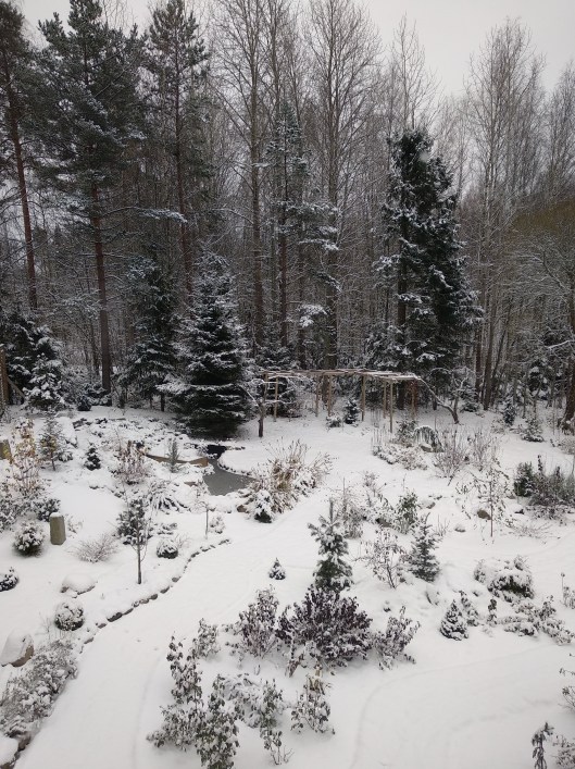 49032795252_e714c9d1be_o