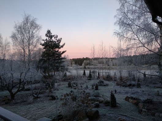 49383512508_2cff17d27d_o