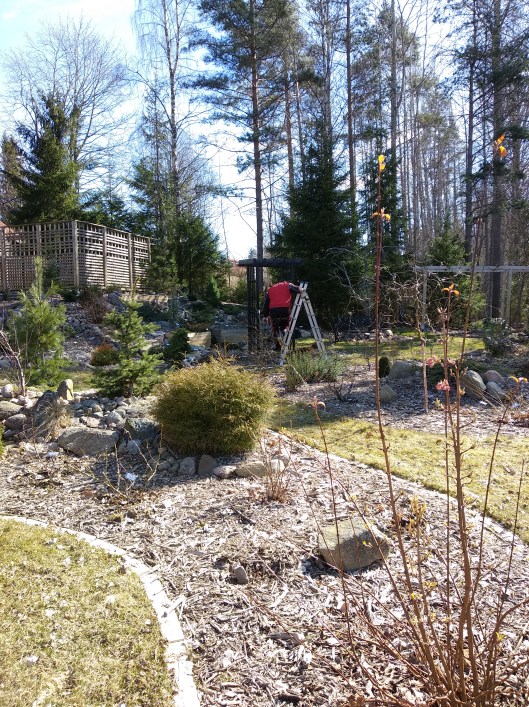 49756372116_e1d3de6a87_o