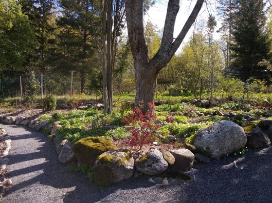 49915665032_a77bf37b31_o