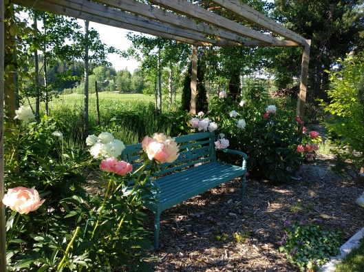 50047504027_4a7dcc5beb_o