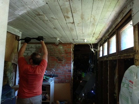 50128365197_691fa4bd80_o