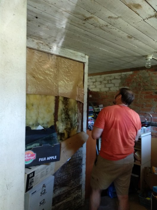 50128365277_66b8ab111f_o