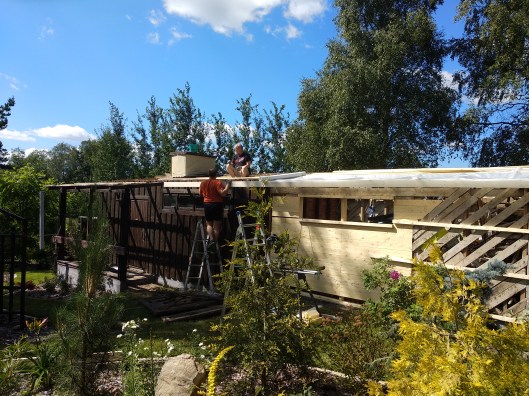 50172822463_e1bb79913b_o