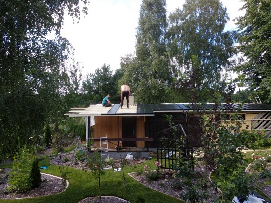 50179060966_d534177d41_o