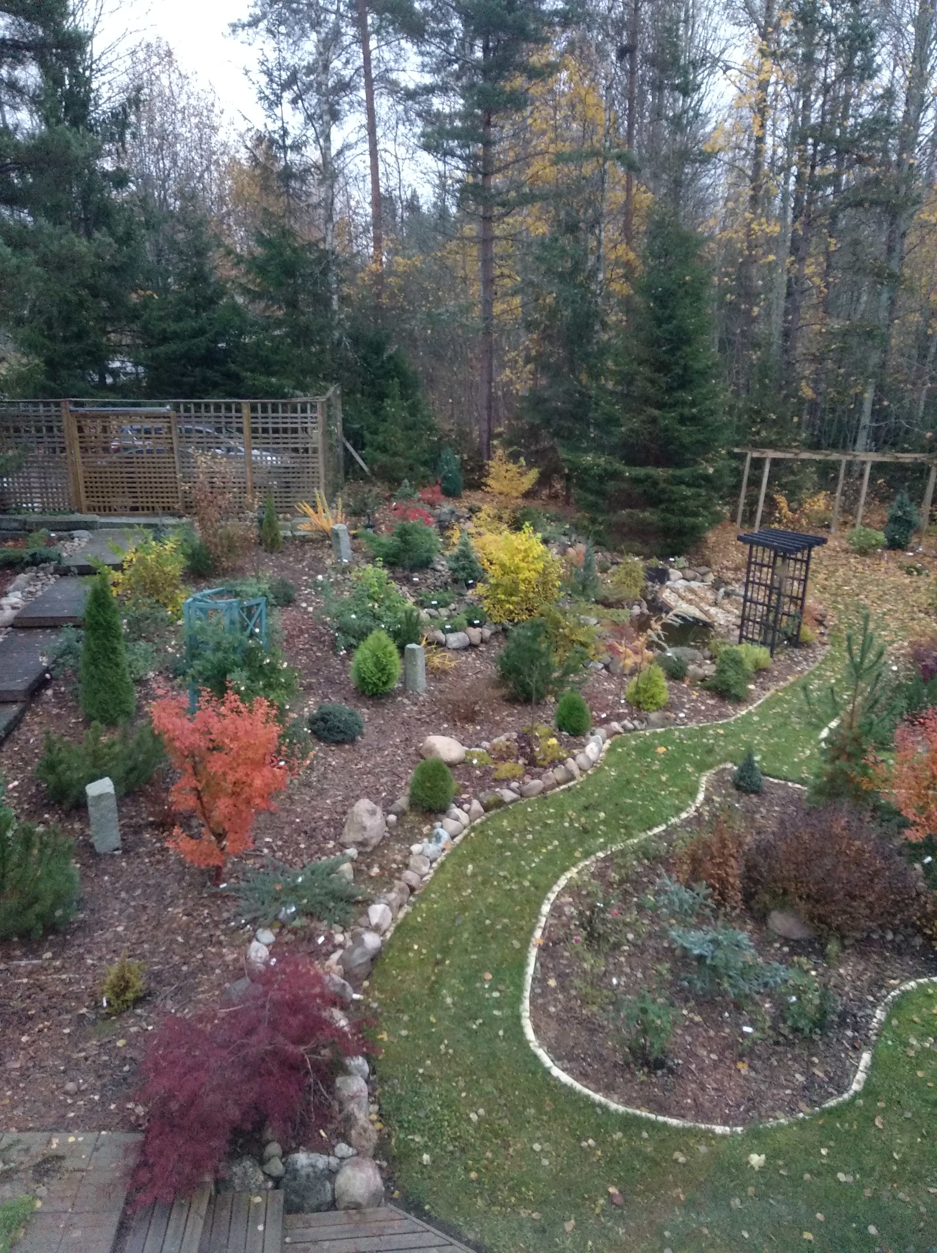 50573297996_d6b9090aae_o