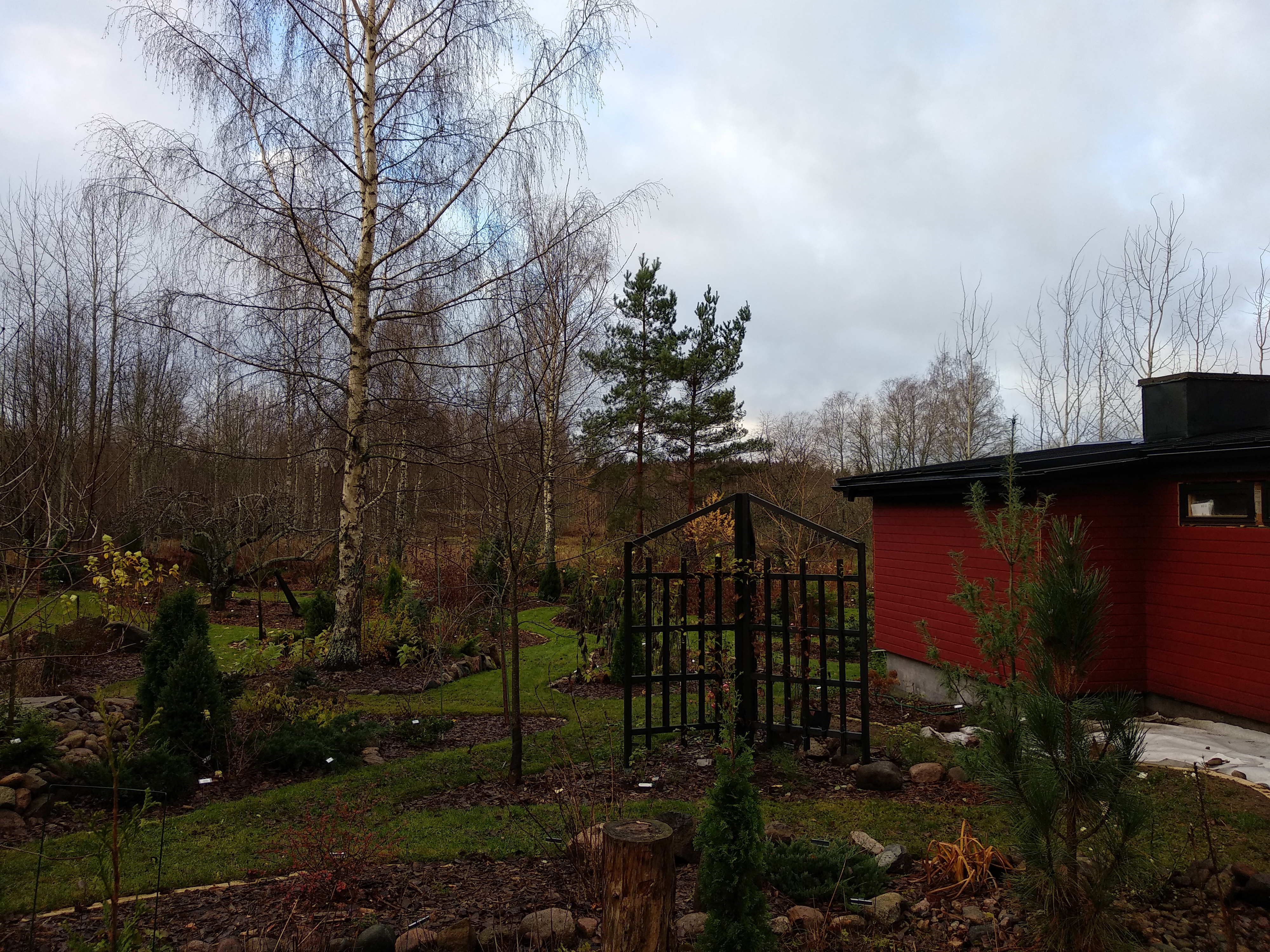 50616475606_96cc264bab_o(1)