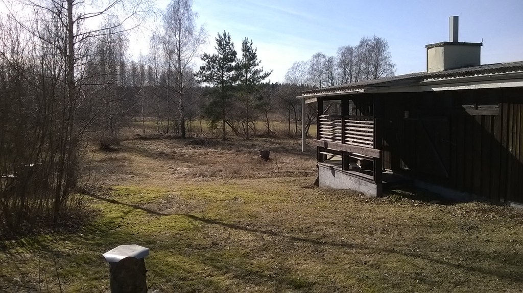 march 2014 cheery tree bed towards back yard