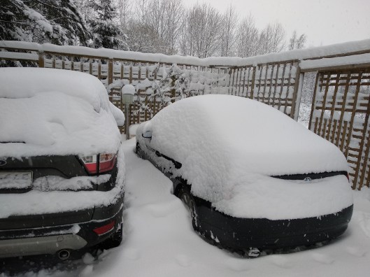 50831155667_ffa7b2844c_o